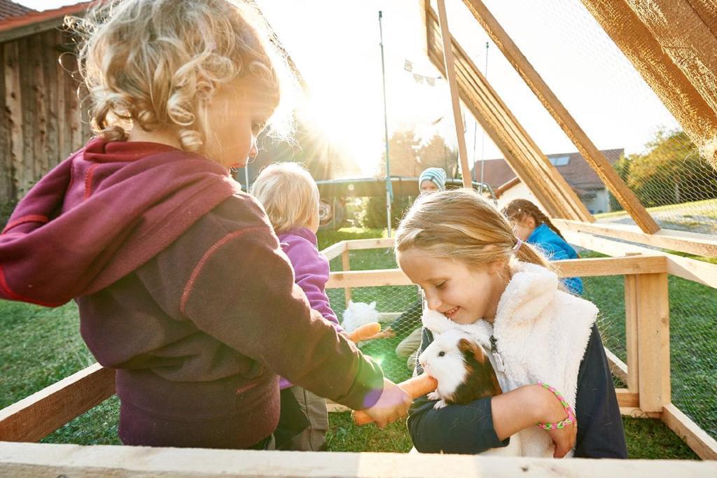 Ferienhof Stetter Schöllnach Exteriér fotografie